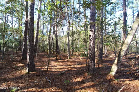 241 Becton Rd, Havelock, NC 28532 photo 10