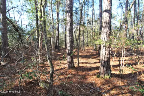 241 Becton Rd, Havelock, NC 28532 photo 9