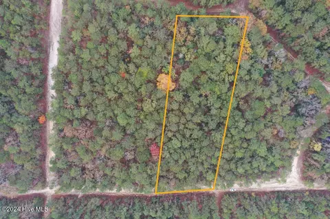 339 Indian Pipe Ln, Vass, NC 28394