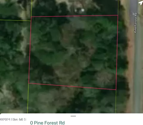 0 Pine Forest Rd, Ayden, NC 28513 photo 3