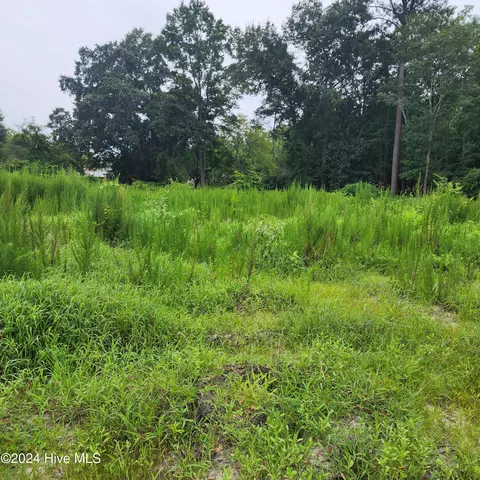 E1107 Eleven Farms Rd. Road, Salemburg, NC 28385