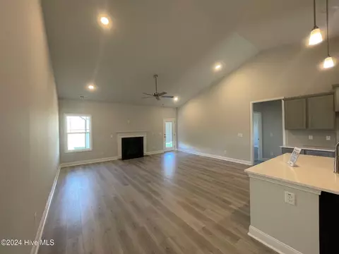 9216 Byron Ct #LOT 213, Bailey, NC 27807 photo 6