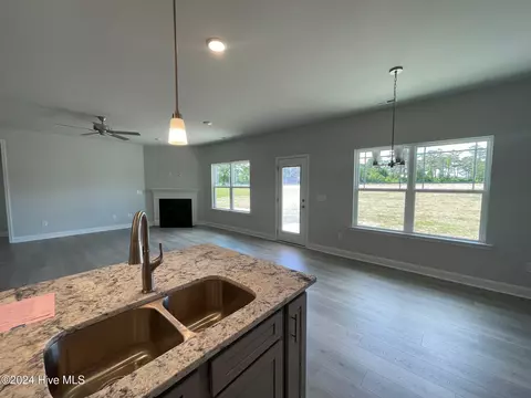 9211 Byron Ct #LOT 199, Bailey, NC 27807 photo 8