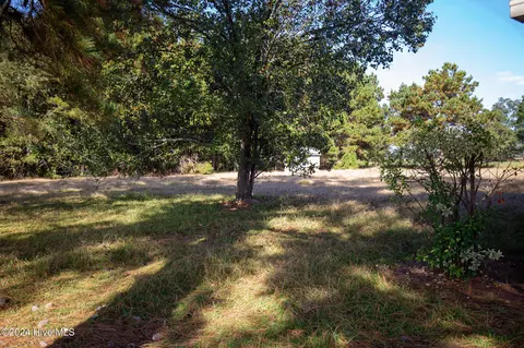 Exterior - 865 Silver Spoon Rd, Evergreen, NC 28438 photo 3 of 9