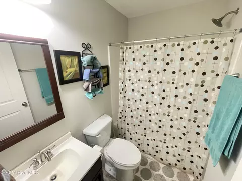 Bath - 60 Grace D King Ln, Faison, NC 28341 photo 3 of 3