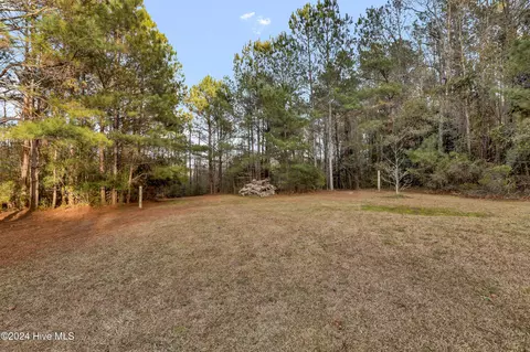 Exterior - 695 Rooks Rd, Atkinson, NC 28421 photo 18 of 19