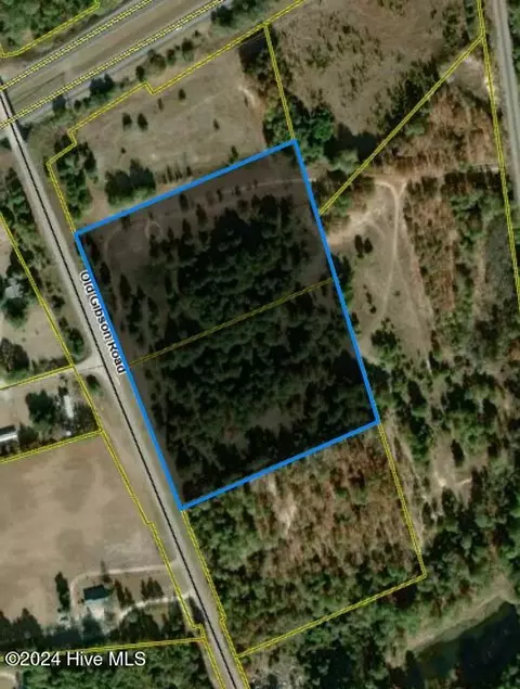 tbd Old Gibson Road Rd, Hamlet, NC 28345