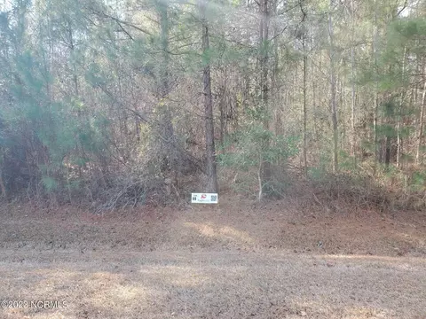 lot60 Eagle Trace Dr, Blounts Creek, NC 27814