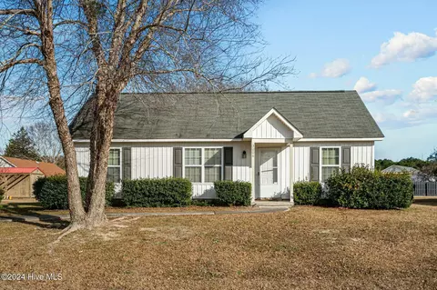 3006 Tinga Ct, Castle Hayne, NC 28429