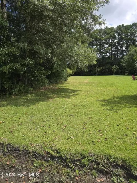 lot17 Giles Marshburn Road Rd, Burgaw, NC 28425