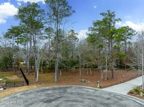1578 Golden Marsh Ct SE, Bolivia, NC 28422