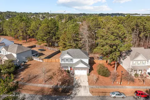 110 Roughleaf Trl, Hampstead, NC 28443 photo 51