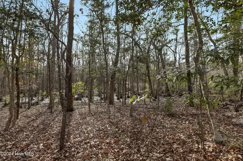 Other - 516 N Line Dr, Hampstead, NC 28443 photo 13 of 14