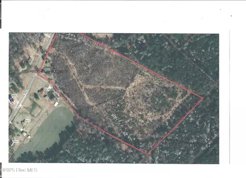 1200 Anderson Rd, Willard, NC 28478 photo 6