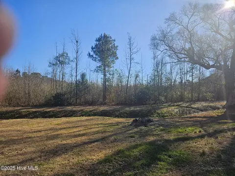 1200 Anderson Rd, Willard, NC 28478
