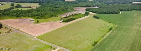 lot D Taylor Town Rd, Faison, NC 28341 photo 2