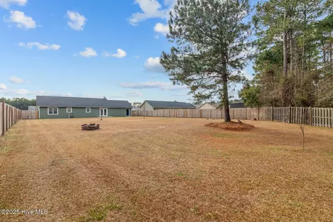 Exterior - 118 Byrum Run, Hubert, NC 28539 photo 6 of 7