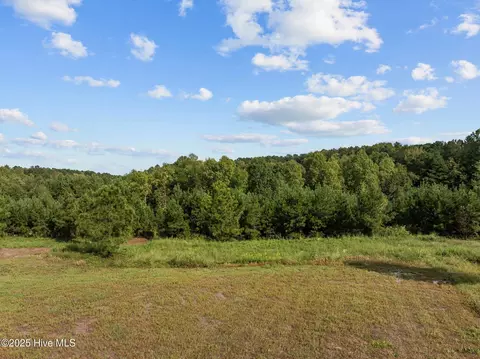 125 Brookhaven Dr, Spring Hope, NC 27882 photo 31