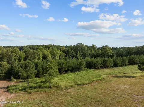 125 Brookhaven Dr, Spring Hope, NC 27882 photo 30