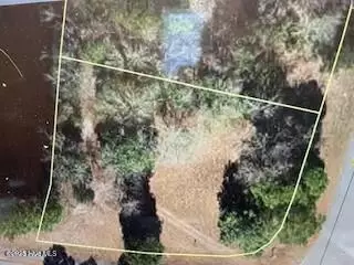 31 Quail Dr, Harrells, NC 28444