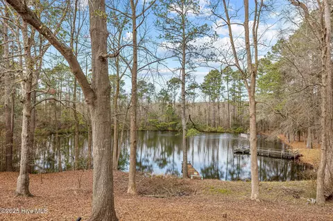 View/Area - 248 Summertree Ct, Clinton, NC 28328 photo 1 of 5
