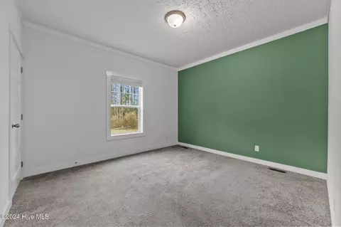 425 Upland Rd, Willard, NC 28478 photo 32