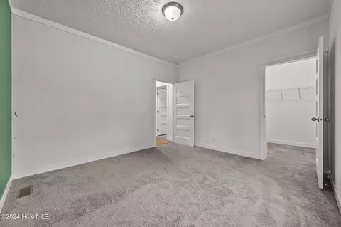 425 Upland Rd, Willard, NC 28478 photo 33