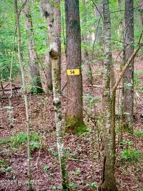 54 Palomino Rd, Carthage, NC 28327