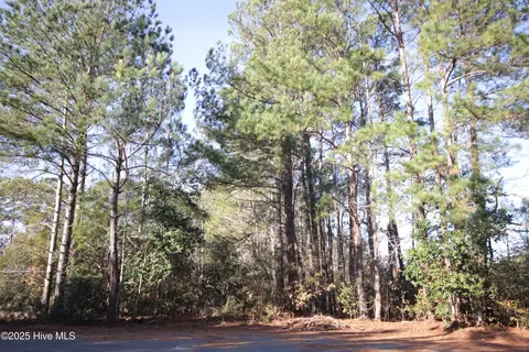 lot13 Sykes St, Tabor City, NC 28463