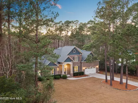 View/Area - 236 Hydrangea Ln, Hampstead, NC 28443 photo 1 of 11