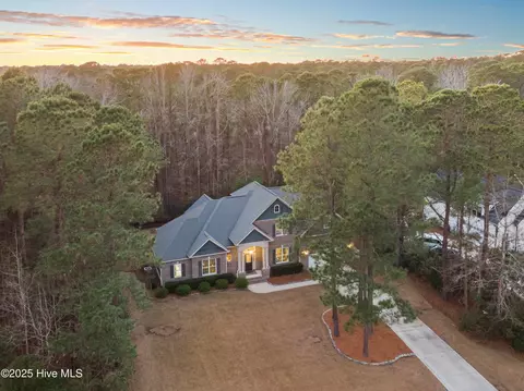 View/Area - 236 Hydrangea Ln, Hampstead, NC 28443 photo 2 of 11