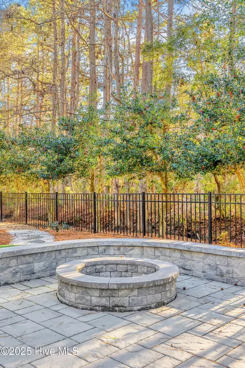 Exterior - 236 Hydrangea Ln, Hampstead, NC 28443 photo 13 of 19