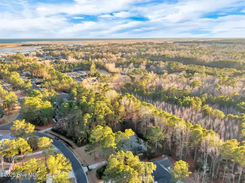 View/Area - 236 Hydrangea Ln, Hampstead, NC 28443 photo 8 of 11