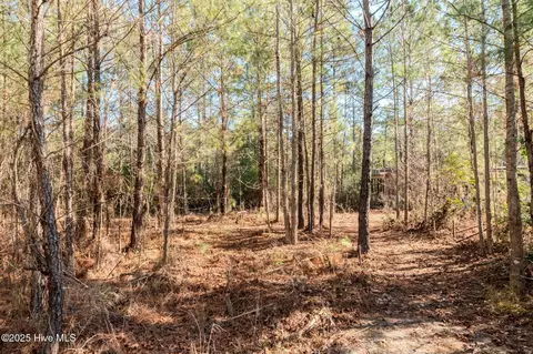 6725 Sandy Run Dr NE, Leland, NC 28451