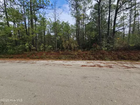0 Redwood Rd, Boiling Spring Lakes, NC 28461
