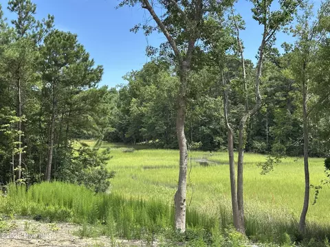 1 Williams Store Rd, Hampstead, NC 28443 photo 2