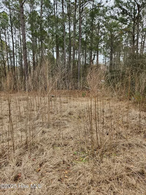 247 Old Ramsey Rd, Burgaw, NC 28425