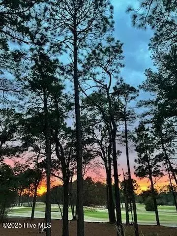Other - 255 Beulah Hill Rd S, Pinehurst, NC 28374 photo 16 of 17