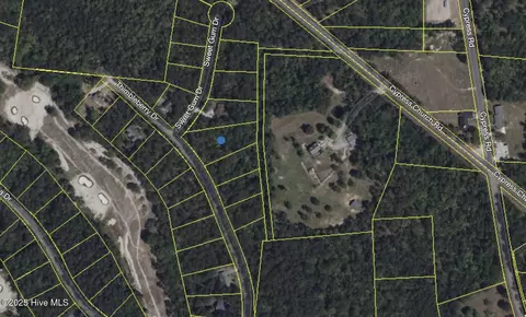 446 Thimbleberry Dr, Vass, NC 28394 photo 2