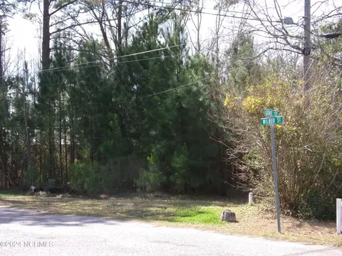lot Apt 15 Wilbur St, Tabor City, NC 28463