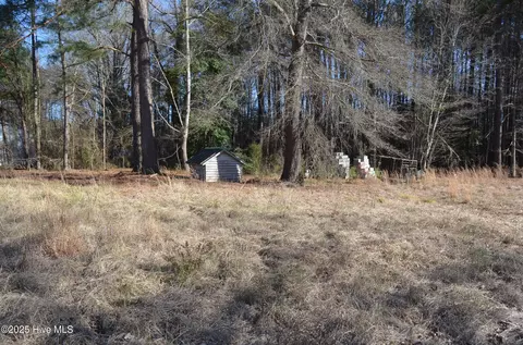 8097 Bray Rd, Bailey, NC 27807 photo 2