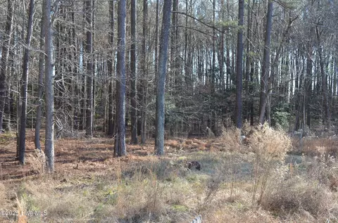 8097 Bray Rd, Bailey, NC 27807 photo 6