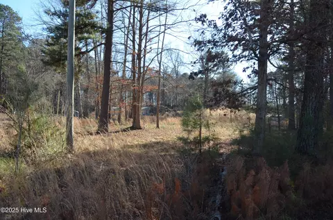 8097 Bray Rd, Bailey, NC 27807 photo 8