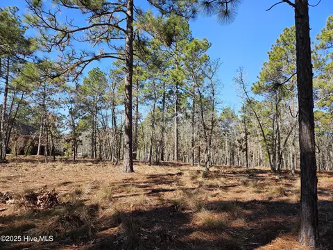 50 Abbottsford Dr, Pinehurst, NC 28374 photo 4