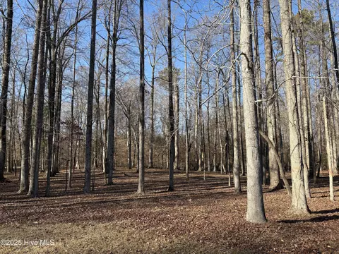 110 Gambit Ct, Washington, NC 27889