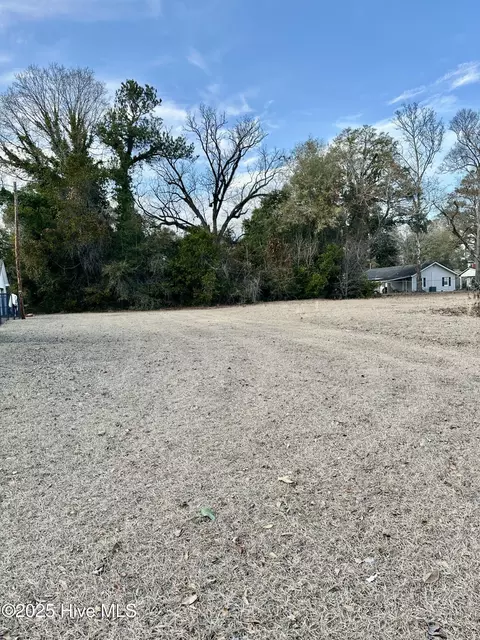 702 Conway Road, Fair Bluff, NC 28439 photo 2