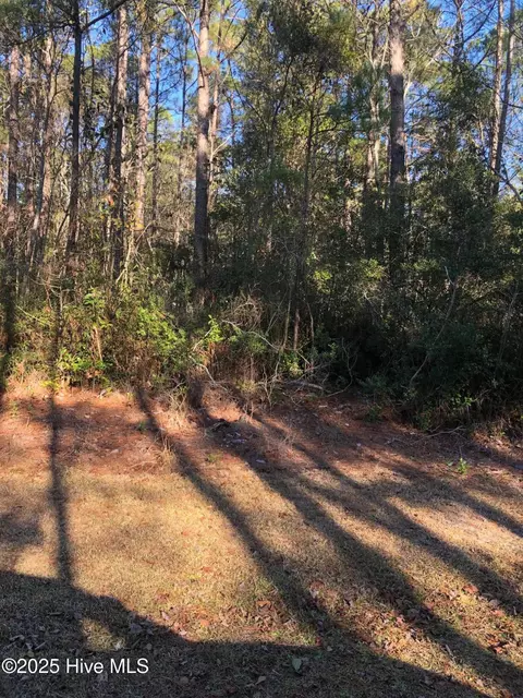 0000 Hwy 210 Empie N Sidbury Rd, Hampstead, NC 28443