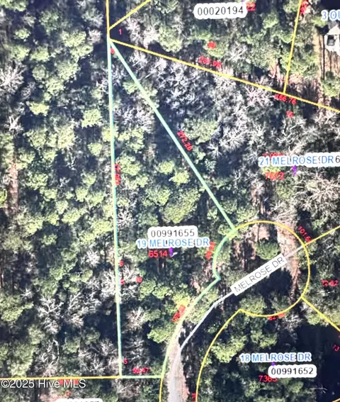 19 Melrose Dr, Pinehurst, NC 28374 photo 2