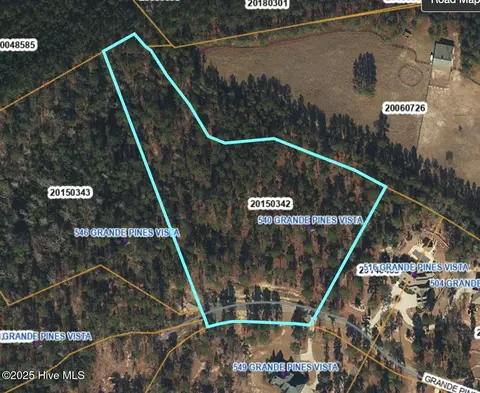 540 Grande Pines Vis, Jackson Springs, NC 27281