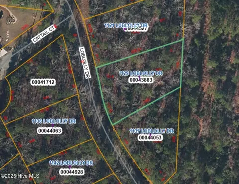 1129 Loblolly Dr, Vass, NC 28394